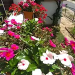 Ana غورني كارين