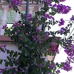 Apartman Ana Gornji Karin