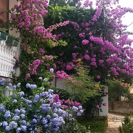 Apartman Ana Gornji Karin