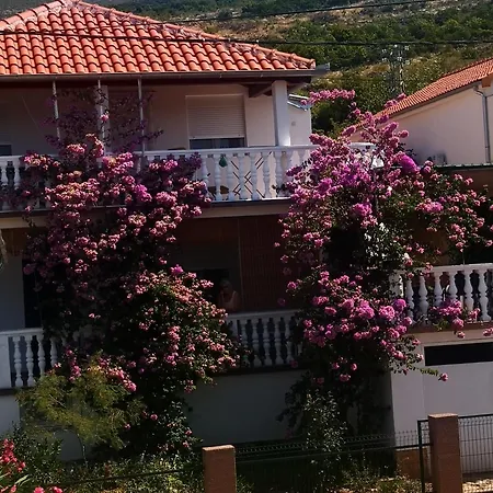 Appartement Ana *
