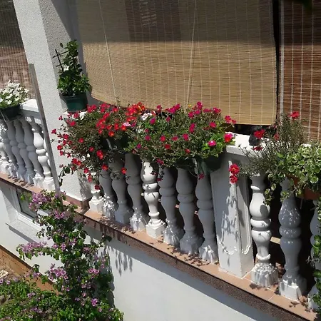 Apartment Ana Gornji Karin