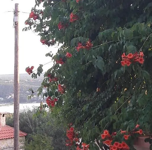 Ana Apartman Gornji Karin