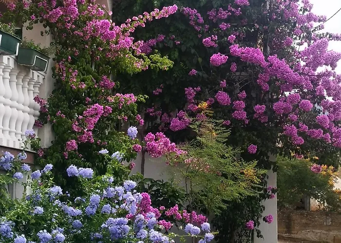 Apartman Ana Gornji Karin