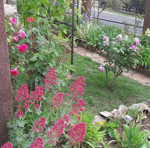 Ana Apartmán Gornji Karin